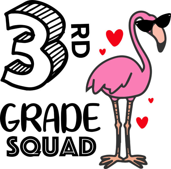 Flamingo-school-3rd