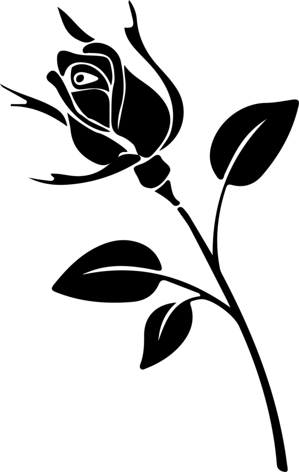 Flowers -29sset 9