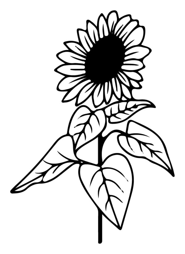 Wildflower-03