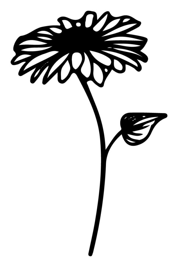 Wildflower-07