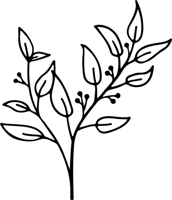 Wildflower-184