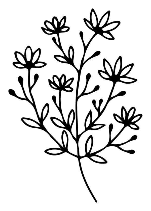 Wildflower-101