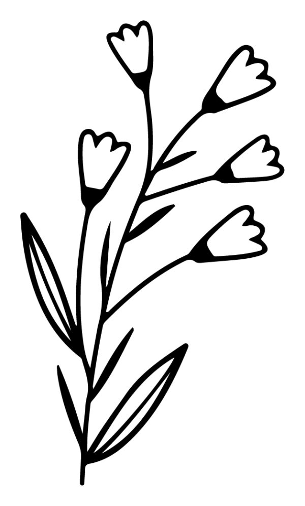 Wildflower-11