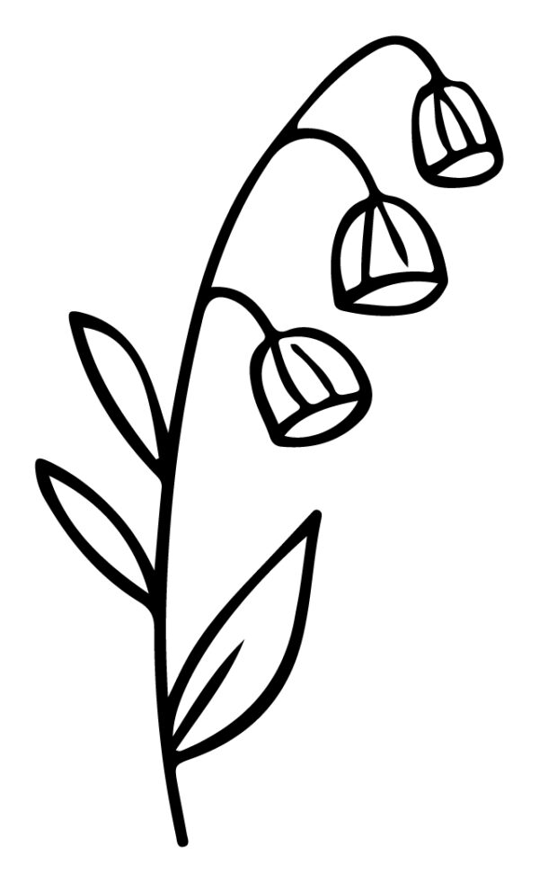 Wildflower-113