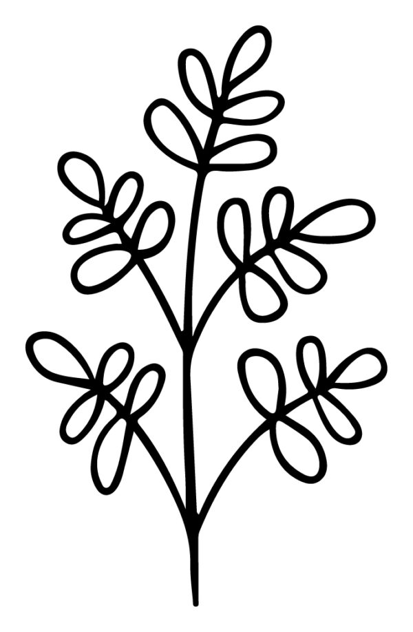 Wildflower-115
