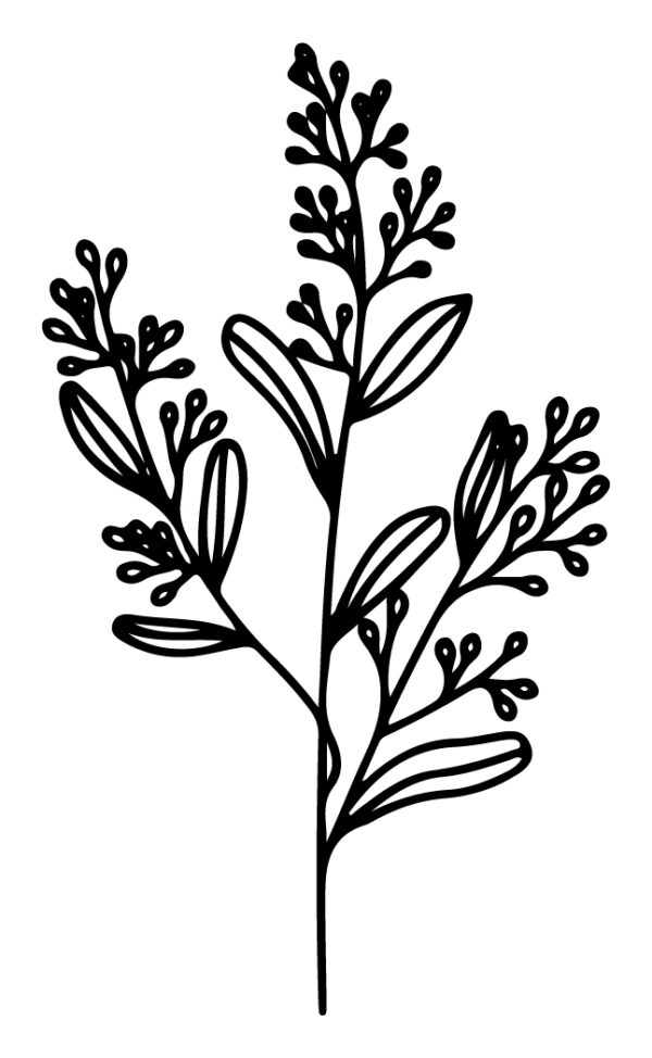 Wildflower-126