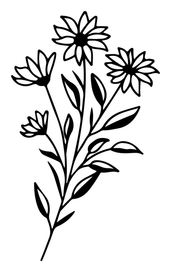 Wildflower-165