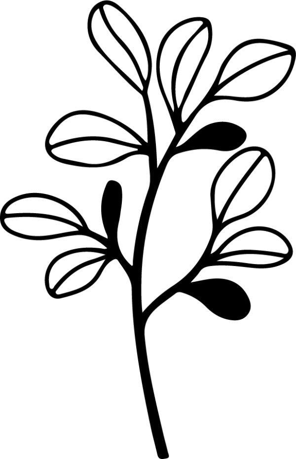Wildflower-18