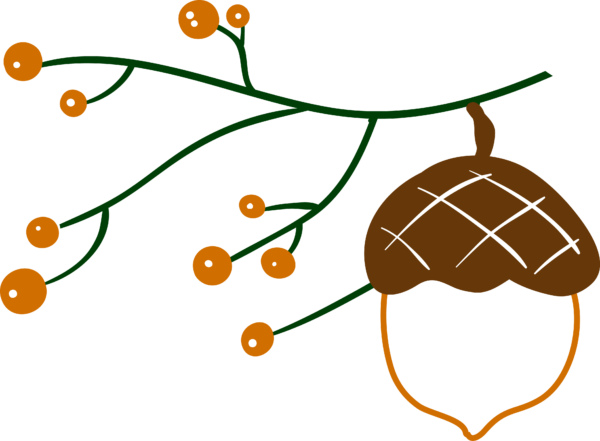 acorn and branch black