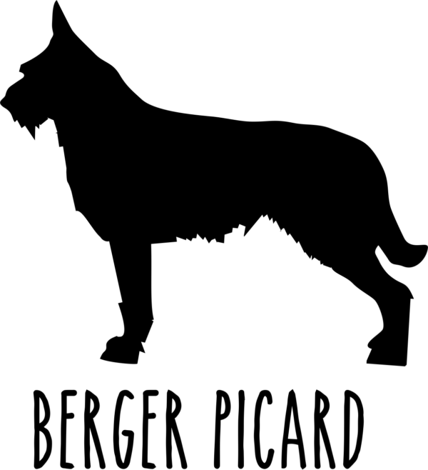 bergamasco