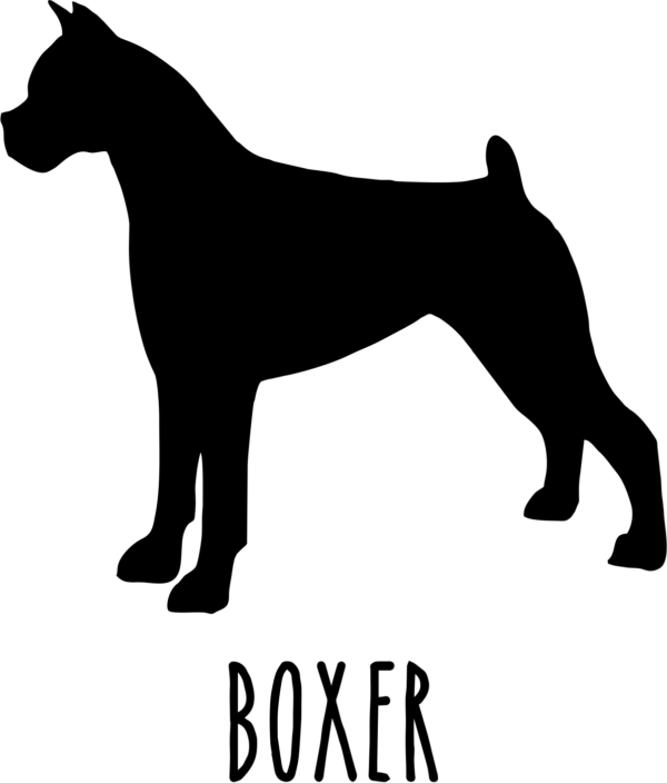 boxer