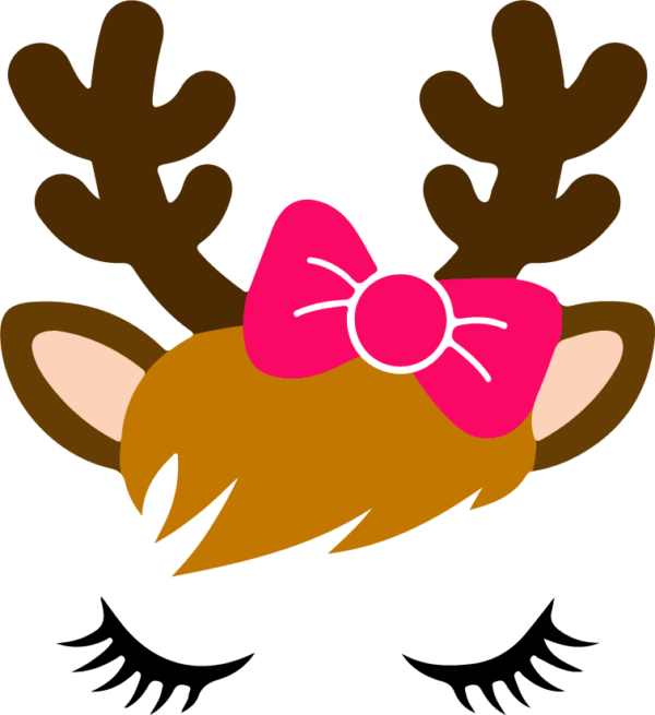 NPPostalService