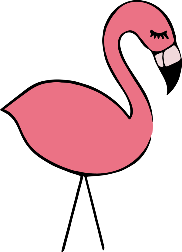 Pink-Nation-22