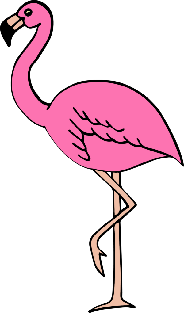 Pink-Nation-21
