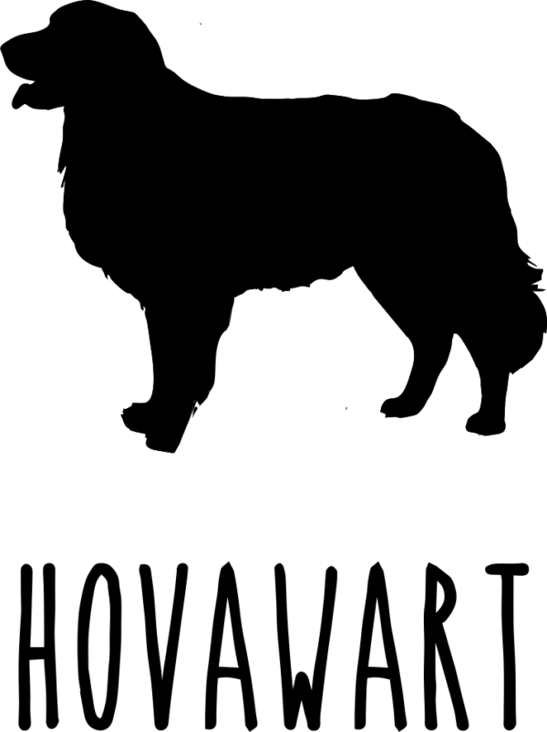 hovawart