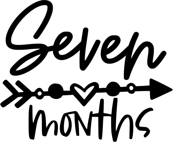 milestone six
