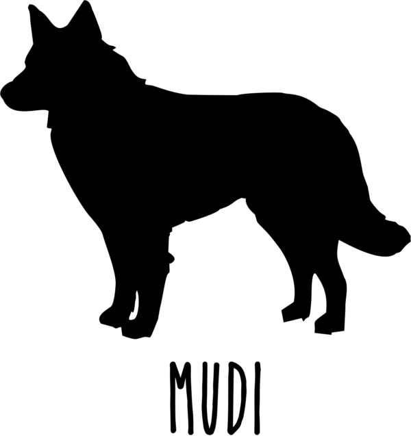mudi