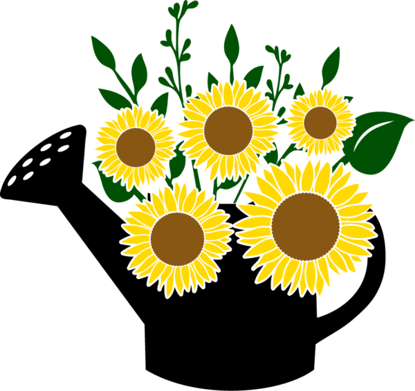 sunflower can multi colored split