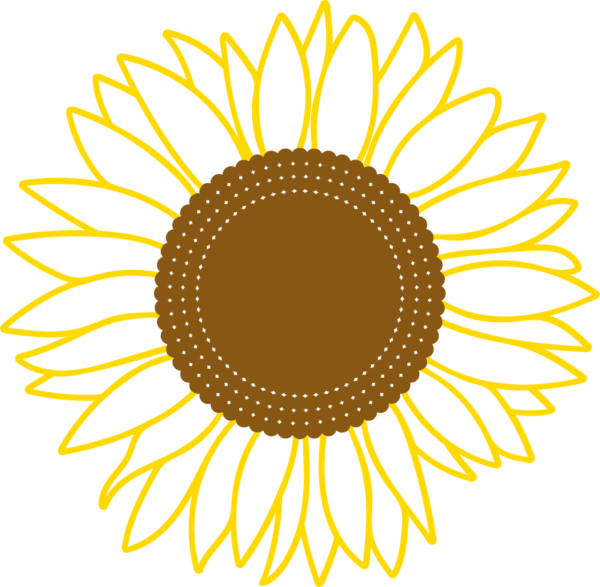 sunflower line c